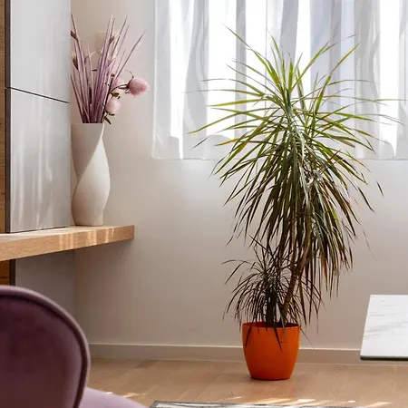 Lux On Kasuni In 아파트 *